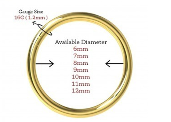 Menteşeli Segment 18K Altın Burun Piercing Klasik 6-12mm Boyut